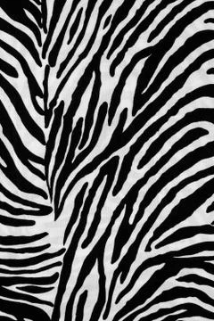 Texture fabric of Zebra for background Stock Photos
