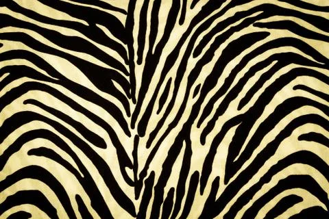 Texture fabric of Zebra for background Stock Photos