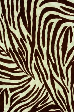 Texture fabric of Zebra for background Stock Photos