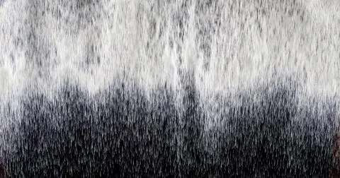 The texture of the fall of white particles . Stock Photos