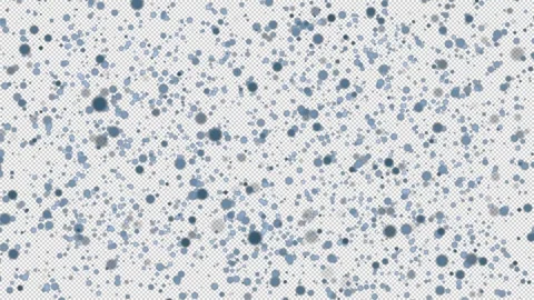 Texture of falling New Year's snow on  transparent background Stock-Footage 320949583