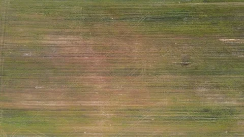 The Texture of the field. Drone aerial view. 库存影片 160919343