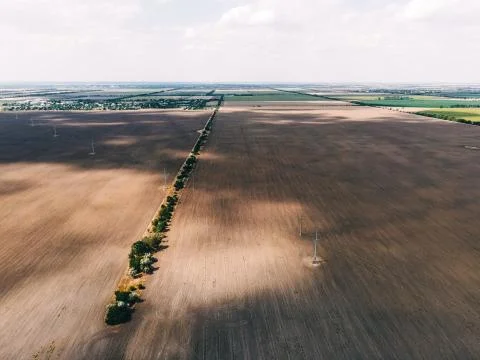 Texture of fields and trees Stock Photos