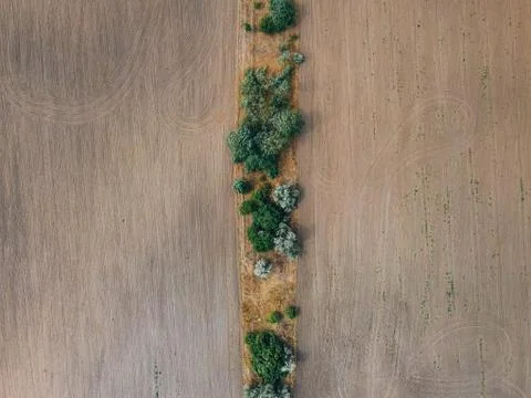 Texture of fields and trees Stock Photos