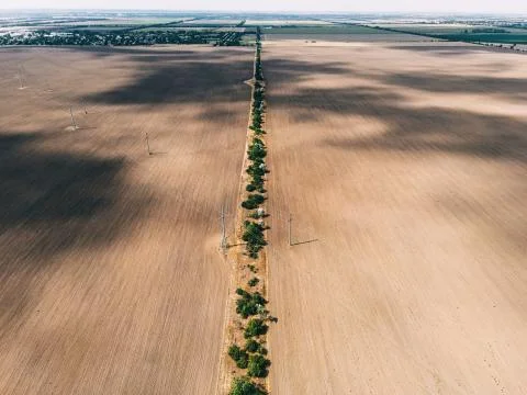 Texture of fields and trees Stock Photos