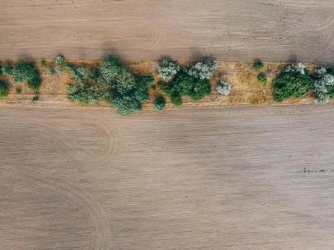 Texture of fields and trees Stock Photos