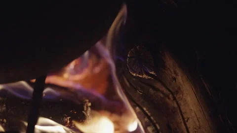 Texture of firewood burning in the brazier Stock Footage 231713717