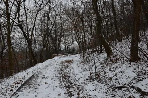 The texture of the first winter snow in the park 스톡 사진