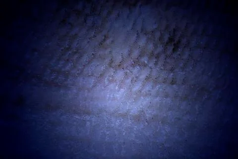 Texture fish skin of closeup Stock Photos