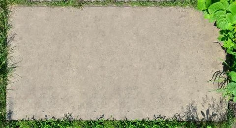 The texture of a flat concrete surface surrounded by grass and a raspberry bu Foto stock