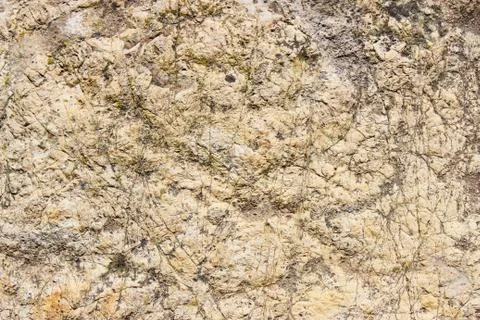 The texture of a flat stone Stock Photos