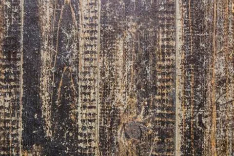 Texture of the floor board, background Stock Photos