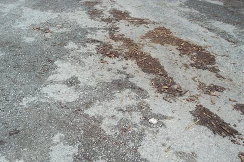 Texture of floor Foto stock