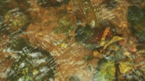 Texture of flowing transparent water over rocks. Loop. Stock Footage 332688461