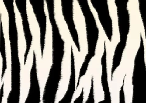 Texture - a fluffy skin of a zebra Stock Illustration