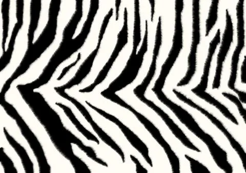 Texture - a fluffy skin of a zebra イラスト素材