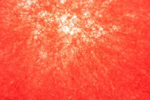 The texture of the foam. Stock Photos