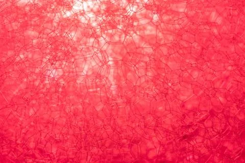 The texture of the foam. Stock Photos