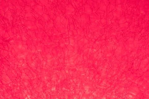 The texture of the foam. Stock Photos