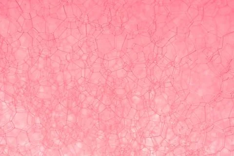 The texture of the foam. Stock Photos