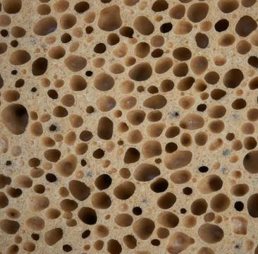 Texture of foam rubber with openings Stock Photos