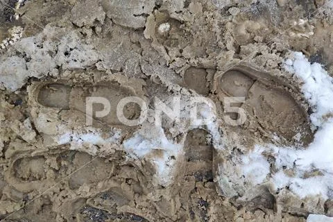Texture. footprint of shoes in muddy slushy snow. Stock Photos