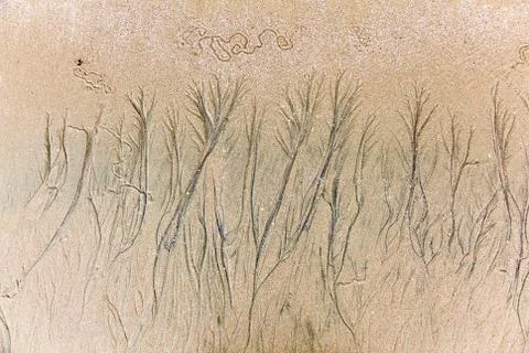 Texture formed by erosion Stock Photos