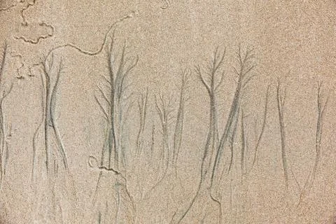 Texture formed by erosion Stock Photos