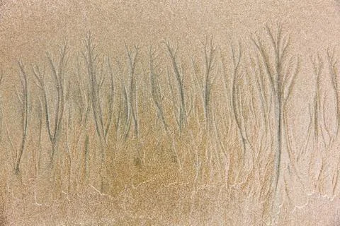 Texture formed by erosion Stock Photos