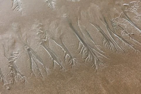 Texture formed by erosion Stock Photos