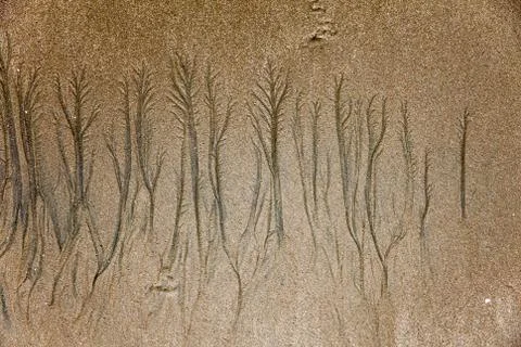 Texture formed by erosion Stock Photos