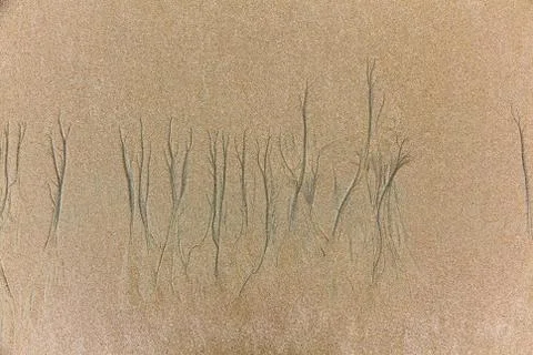 Texture formed by erosion Stock Photos