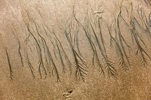 Texture formed by erosion Stock Photos