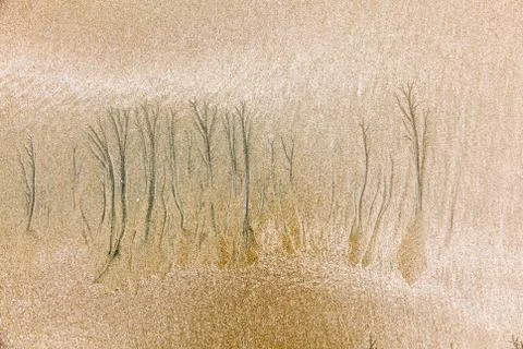 Texture formed by erosion Stock Photos