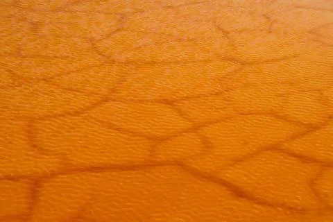 Texture of fractured mud Stock Photos