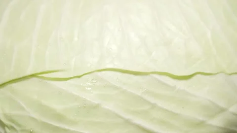 Texture of fresh organic wite cabbage spinning around slowly Stock Footage 255709692