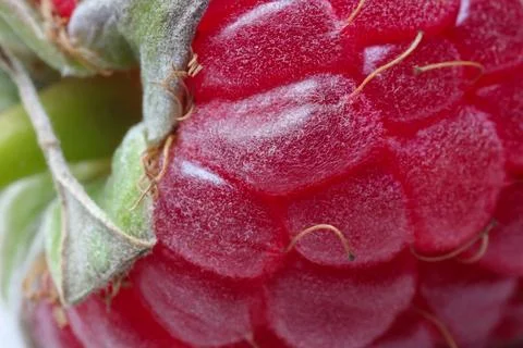 Texture of fresh ripe raspberry, macro view Stock Photos