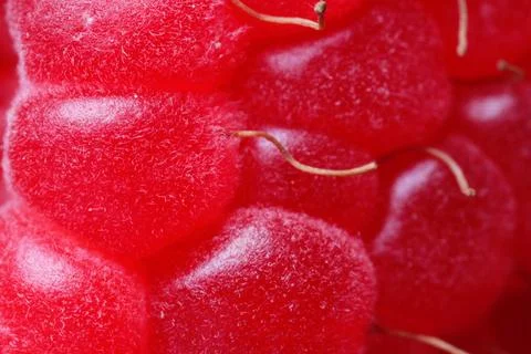 Texture of fresh ripe raspberry, macro view Foto stock