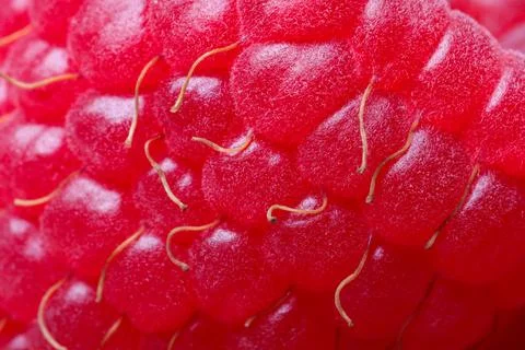 Texture of fresh ripe raspberry, macro view Stock Photos