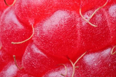 Texture of fresh ripe raspberry, macro view Stock Photos