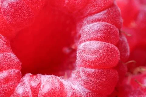Texture of fresh ripe raspberry, macro view Stock Photos