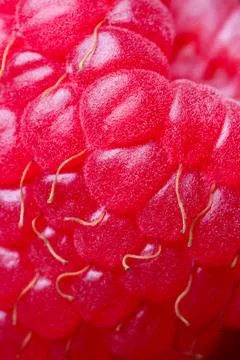 Texture of fresh ripe raspberry, macro view Stock Photos