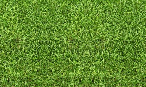 Texture fresh spring grass field Photo background Foto stock