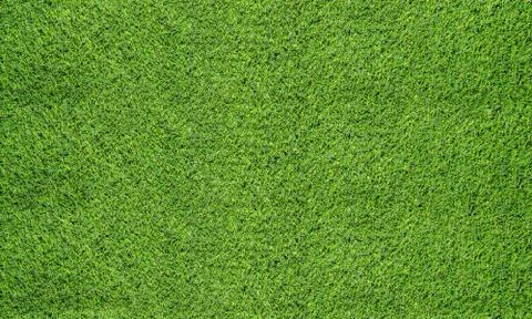 Texture fresh spring grass field Photo background Stock Photos