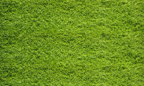 Texture fresh spring grass field Photo background Stock Photos