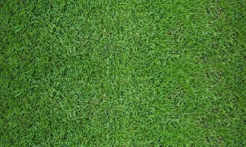 Texture fresh spring grass field Photo background Foto stock