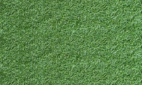 Texture fresh spring grass field Photo background Stock Photos