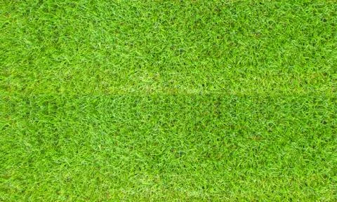 Texture fresh spring grass field Photo background Foto stock