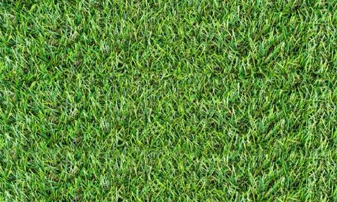 Texture fresh spring grass field Photo background Stock Photos