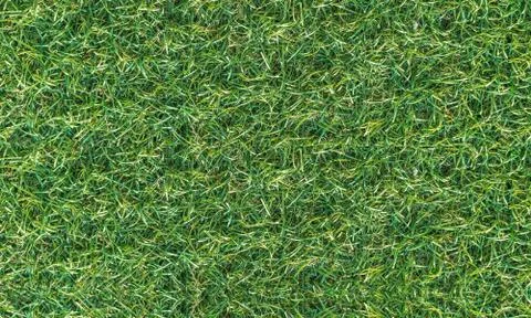 Texture fresh spring grass field Photo background Stock Photos
